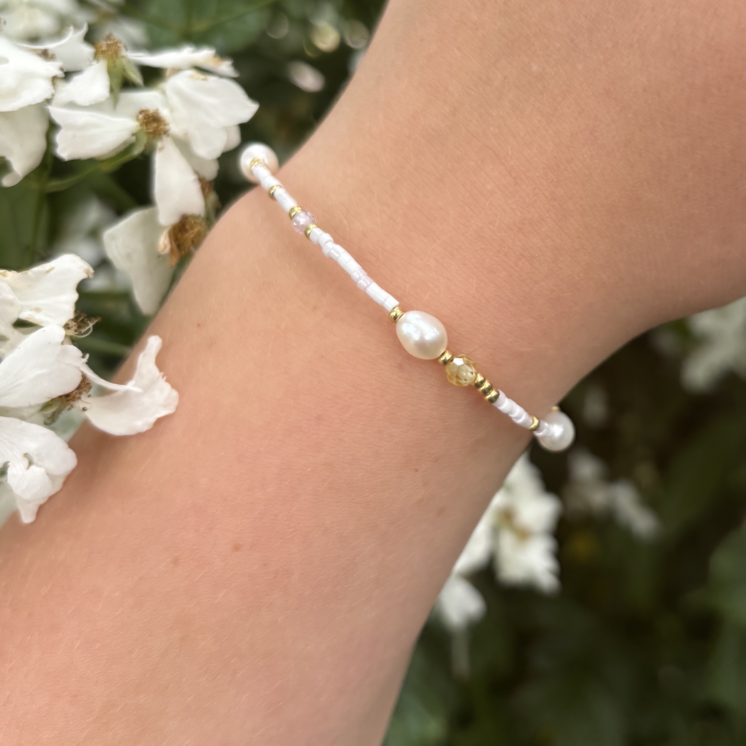 IMG_3356